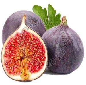 Natural Fresh Fig For Human Consumption