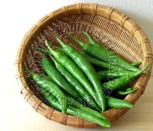 Fresh Green Chilli, Packaging Size : 25-50 Kg