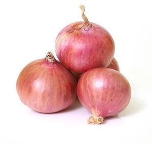 Red Onion