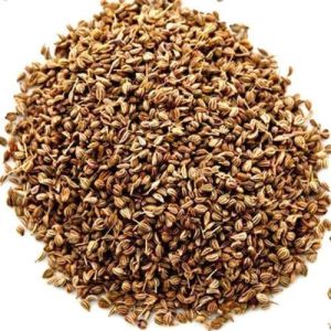 Natural Ajwain Seeds, Color : Brown, Packaging Size : 100gm, 200gm, 250gm, 500gm For Cooking