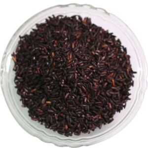 Organic Black Rice, Packaging Type : Plastic Bag, Packaging Size : 5-20 Kg