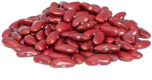 Natural Red Kidney Beans, Packaging Type : Plastic Packet, Packaging Size : 500gm, 1kg For Human Consumption