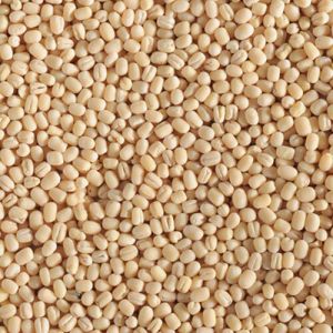 Urad Whole Without Skin, Color : Creamy White, Packaging Type : Plastic Packet For Human Consumption