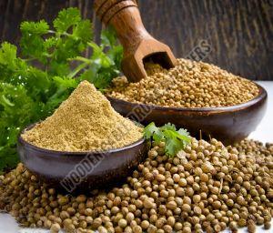 Natural Coriander Seed For Human Consumption