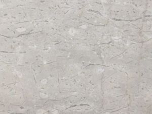 Italian Bulgaria Marble Slab