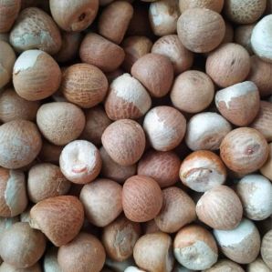 Organic Areca Betel Nuts, Color : Brown 12 Months, Taste : Light Sweet