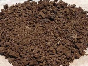 Organic Cow Dung Manure, Color : Brown, Form : Powder