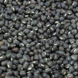 65kg Black Gram Beans 6-12 Months, Packaging Type : Jute Bag, Size Available : 7-12mm