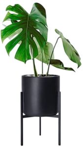 Powder Coated Plain IR1003BK Iron Floor Planter 8.5X8.5X12 Inch