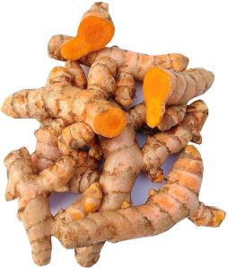 Organic Curcuma Longa