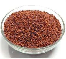 Organic Finger Millet