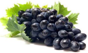 Fresh Black Grapes, Packaging Type : PP Bag, Packaging Size : 5-25kg