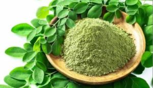 moringa powder