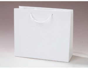 Laminated White Back Duplex Paper Bag