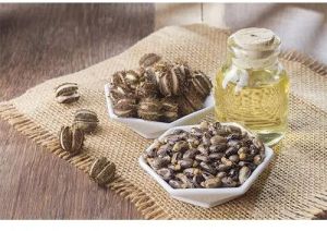 Castor Oil For Plastic Industry 1Year, Grade : Commercial Grade, Packaging Size : 200kg