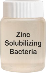 Zinc Solubilizing Bacteria