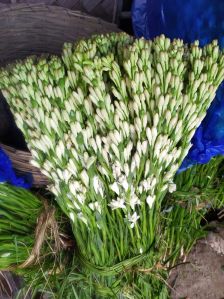 Tuberose Flower Stick, Color : White, Packaging Type : Box For Decoration