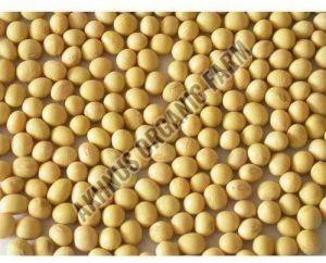 Organic Dry Soybean Seeds For Cooking