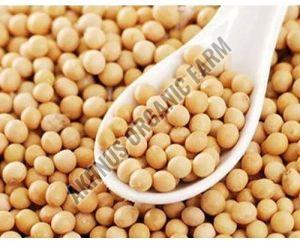 Organic Soybean Seeds For Cooking