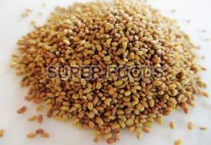 Alfalfa Seeds, Style : Dried