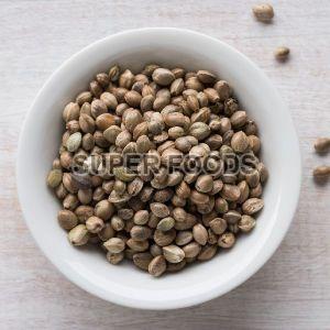 Hemp Seeds