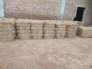 Paddy Straw Bales