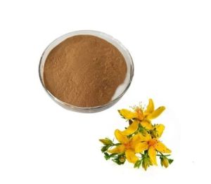 Arnica Montana Extract Powder