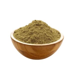 Coleus Forskohlii Root Extract Powder
