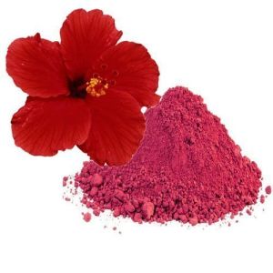 Hibiscus Rosa Sinensis Flower Extract Powder