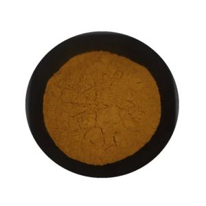 Magnolia Bark Extract Powder