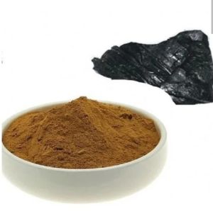 Shilajeet Extract Powder