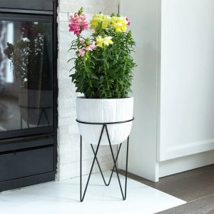 BLACK STAND WITH WHITE ETCHED POT