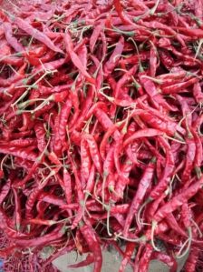 dried red chili Teja S17