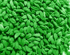 7.5 - 8 mm Green Cardamom