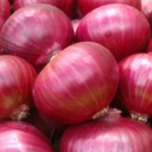 Onions