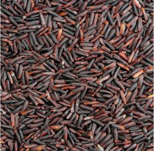 Black Rice