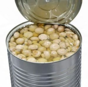 Canned Mushroom