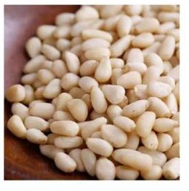 Pine Nut Kernel