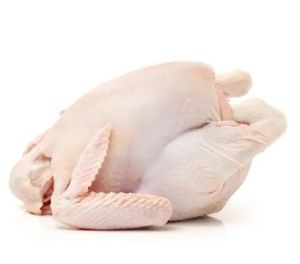 Quality Halal Frozen Whole Chicken