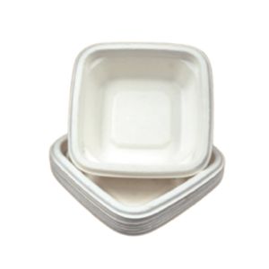 Bagasse Square Bowls