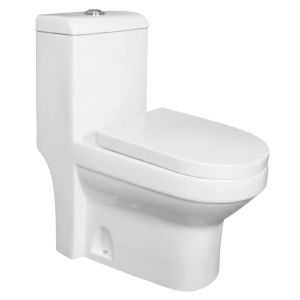 Ceramic Bidet Water Closet