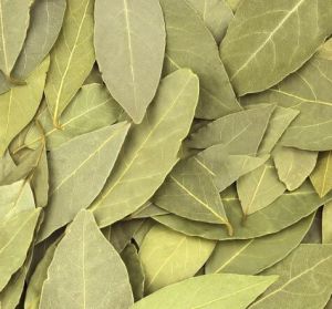 Bay Leaves