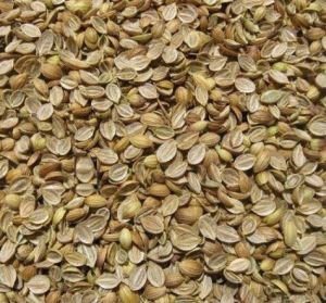 Dried Brown Split Coriander Seeds