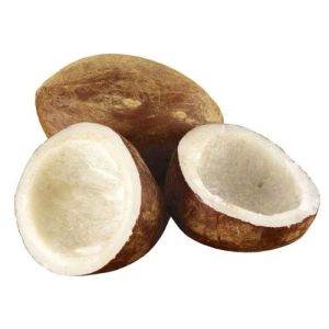 Brown Coconut Copra