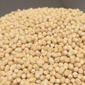 White Sabut Urad Dal