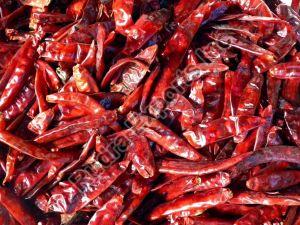 dry red chilli