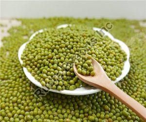 Green Mung Beans