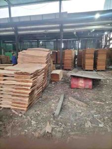 natural wood eucalyptus core veneer sheet