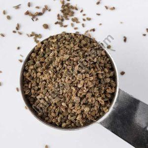 Celery Seeds