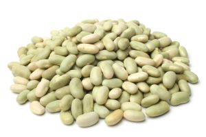 Flageolet Beans